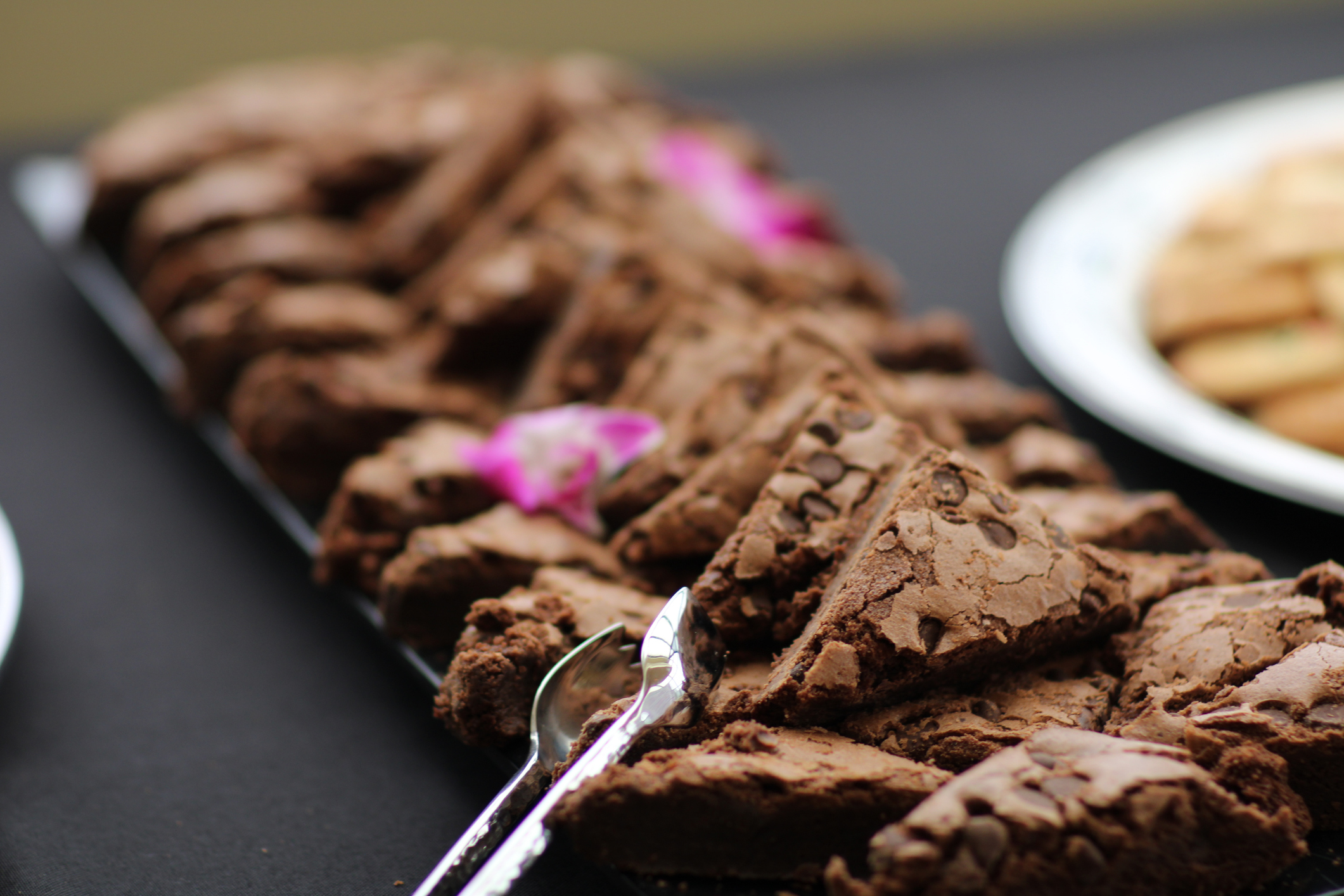 Delicious chocolate brownies on platter